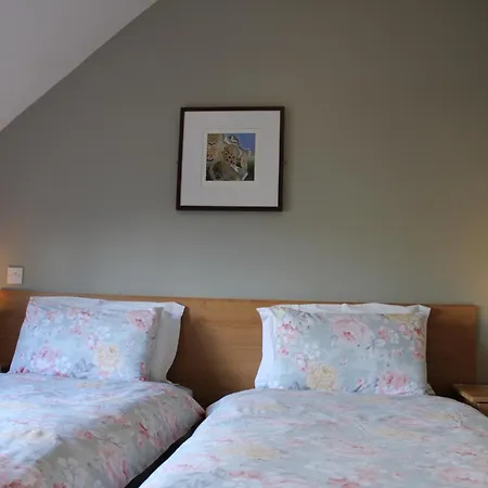 Cosy Kerry *